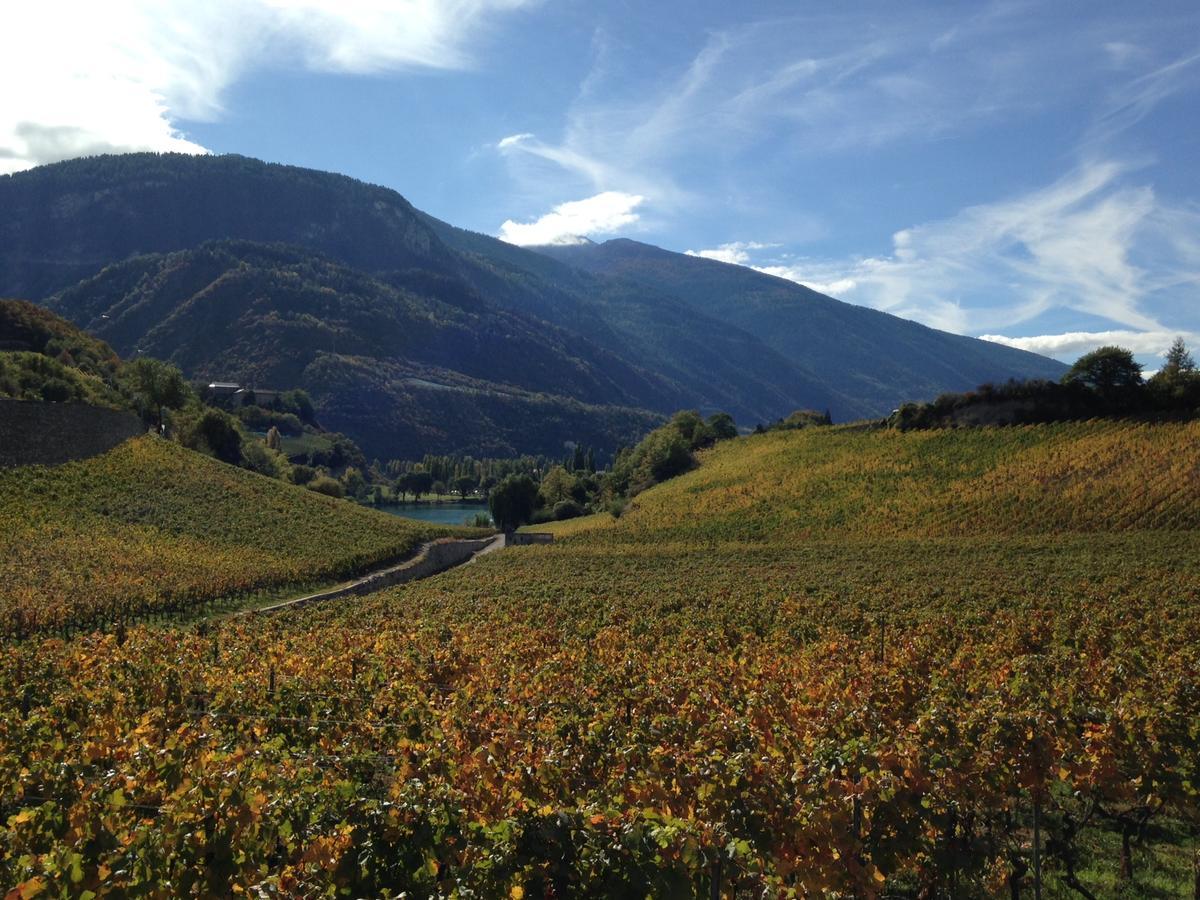 Bnb Chantevent Sierre Exterior photo