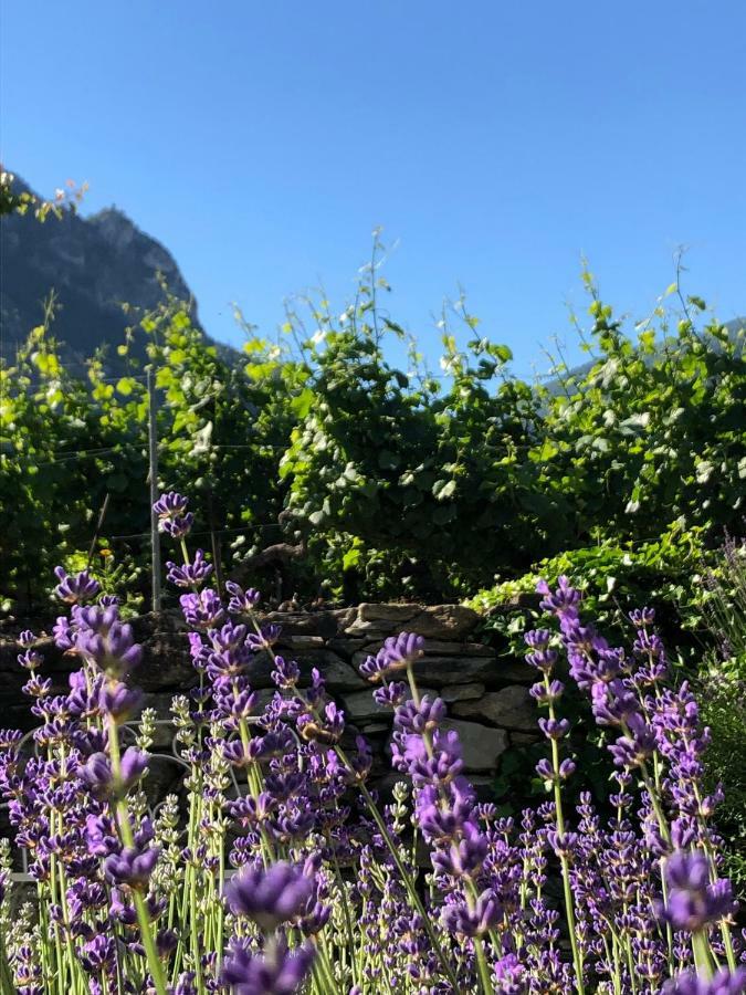 Bnb Chantevent Sierre Exterior photo