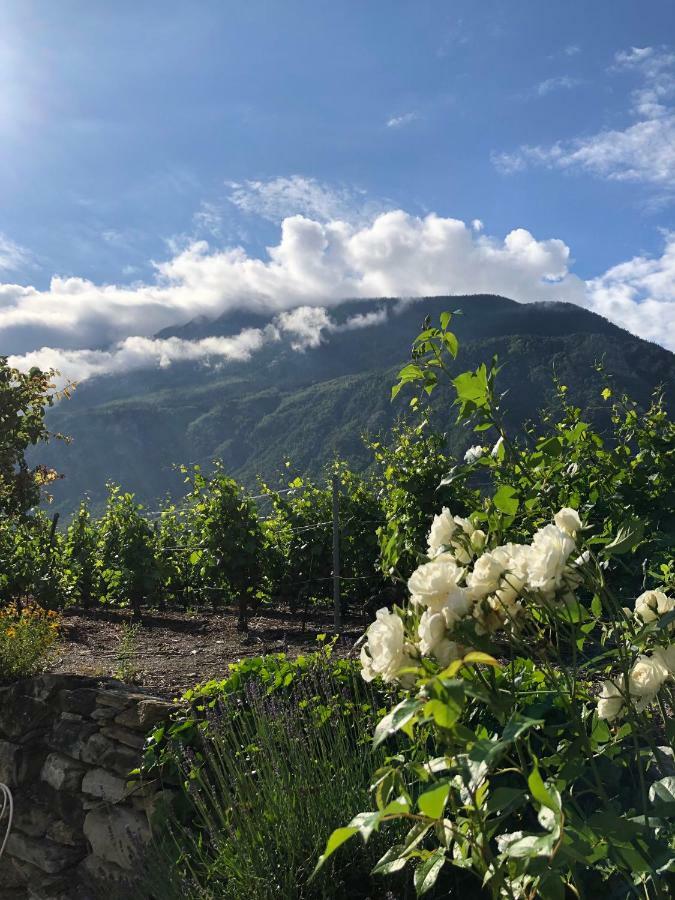Bnb Chantevent Sierre Exterior photo
