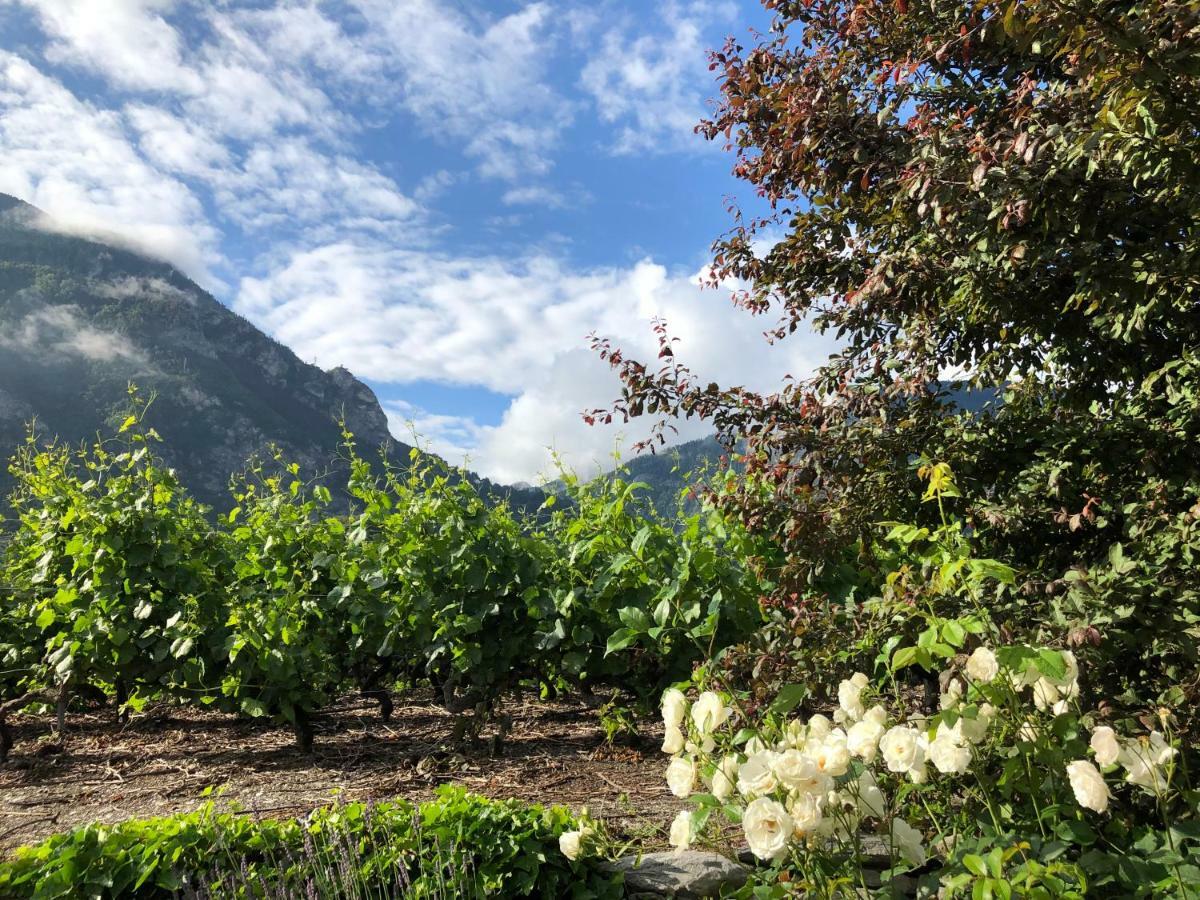 Bnb Chantevent Sierre Exterior photo