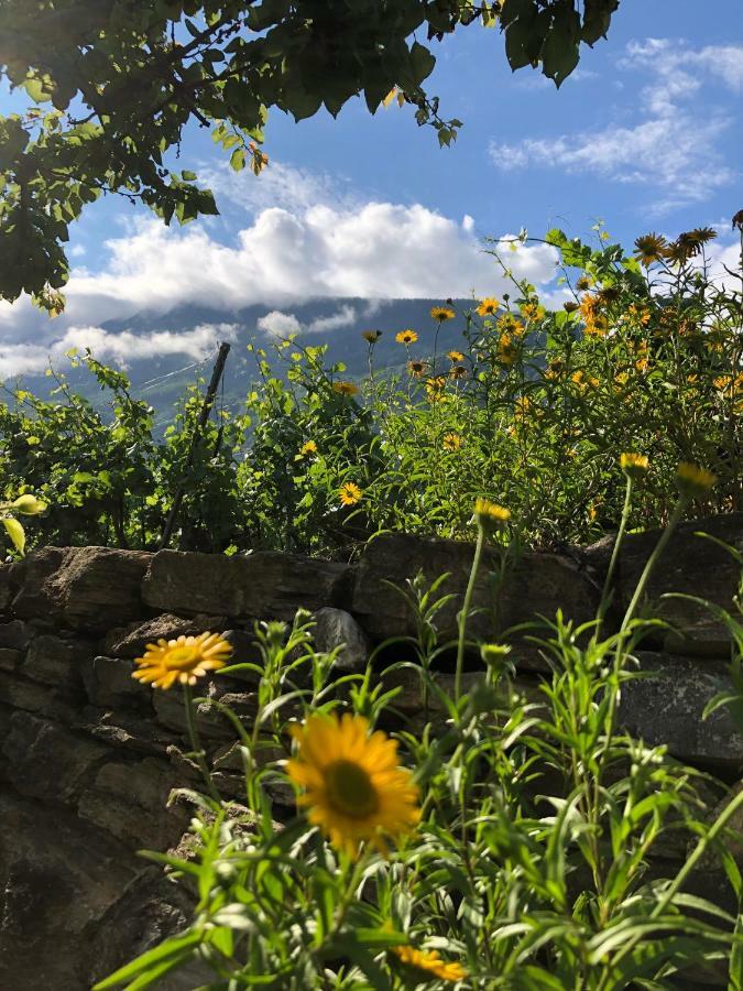 Bnb Chantevent Sierre Exterior photo